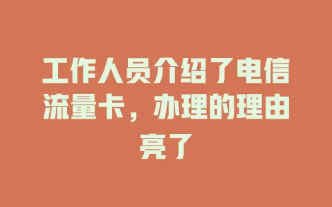 工作人员介绍了电信流量卡，办理的理由亮了