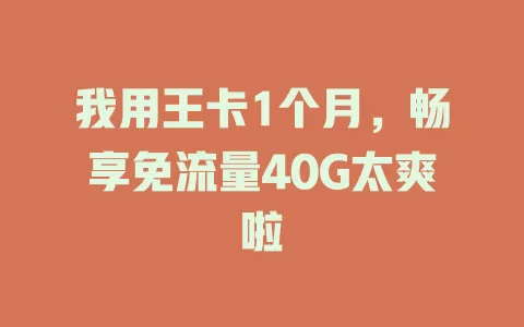 我用王卡1个月，畅享免流量40G太爽啦