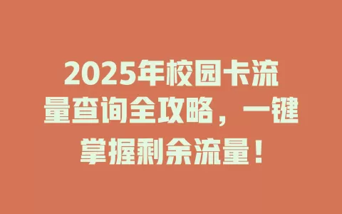 2025年校园卡流量查询全攻略，一键掌握剩余流量！