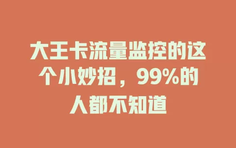 大王卡流量监控的这个小妙招，99%的人都不知道