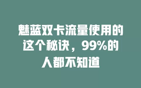 魅蓝双卡流量使用的这个秘诀，99%的人都不知道