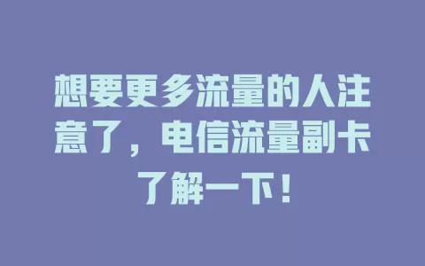 想要更多流量的人注意了，电信流量副卡了解一下！