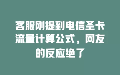 客服刚提到电信圣卡流量计算公式，网友的反应绝了