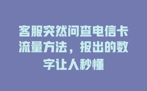 客服突然问查电信卡流量方法，报出的数字让人秒懂