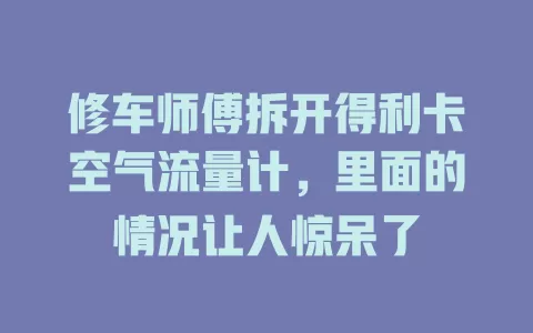 修车师傅拆开得利卡空气流量计，里面的情况让人惊呆了