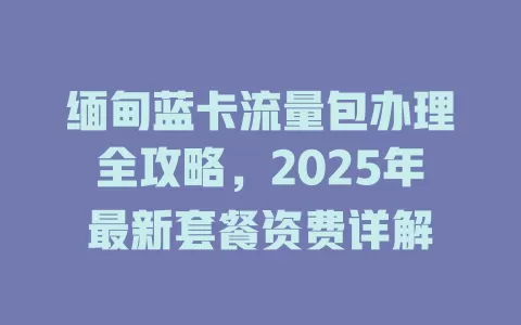 缅甸蓝卡流量包办理全攻略，2025年最新套餐资费详解