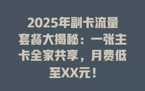 2025年副卡流量套餐大揭秘：一张主卡全家共享，月费低至XX元！