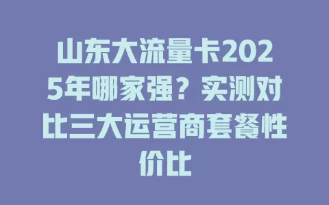 山东大流量卡2025年哪家强？实测对比三大运营商套餐性价比