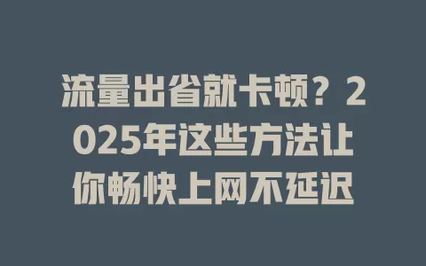 流量出省就卡顿？2025年这些方法让你畅快上网不延迟