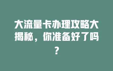 大流量卡办理攻略大揭秘，你准备好了吗？