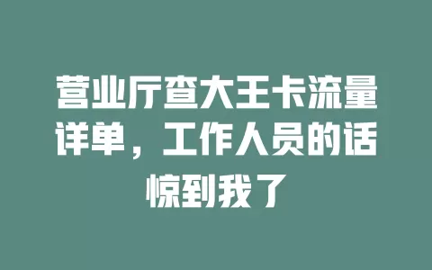 营业厅查大王卡流量详单，工作人员的话惊到我了