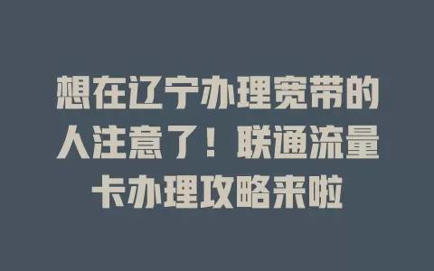 想在辽宁办理宽带的人注意了！联通流量卡办理攻略来啦
