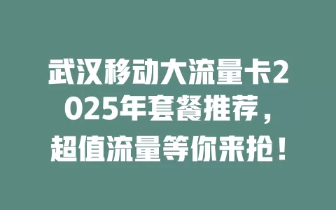 武汉移动大流量卡2025年套餐推荐，超值流量等你来抢！