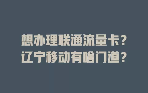 想办理联通流量卡？辽宁移动有啥门道？