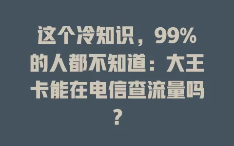 这个冷知识，99%的人都不知道：大王卡能在电信查流量吗？
