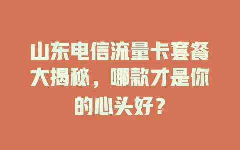 山东电信流量卡套餐大揭秘，哪款才是你的心头好？