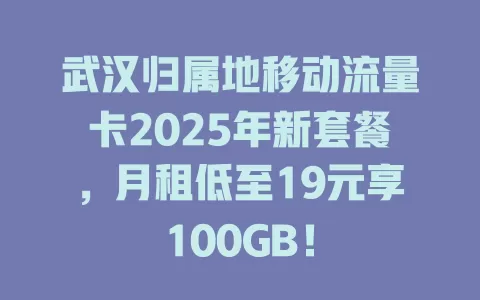 武汉归属地移动流量卡2025年新套餐，月租低至19元享100GB！