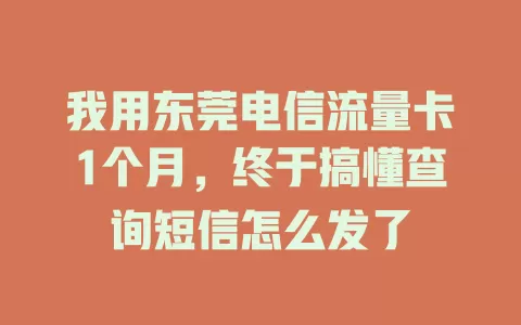 我用东莞电信流量卡1个月，终于搞懂查询短信怎么发了