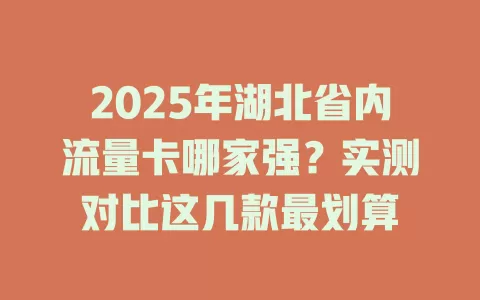 2025年湖北省内流量卡哪家强？实测对比这几款最划算