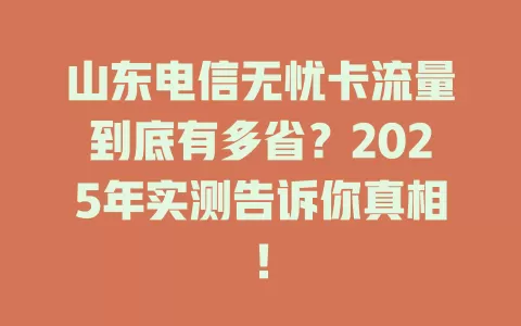 山东电信无忧卡流量到底有多省？2025年实测告诉你真相！