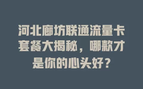 河北廊坊联通流量卡套餐大揭秘，哪款才是你的心头好？