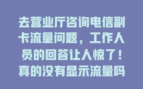 去营业厅咨询电信副卡流量问题，工作人员的回答让人惊了！真的没有显示流量吗？