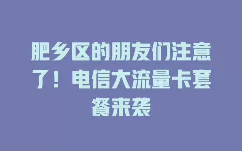 肥乡区的朋友们注意了！电信大流量卡套餐来袭