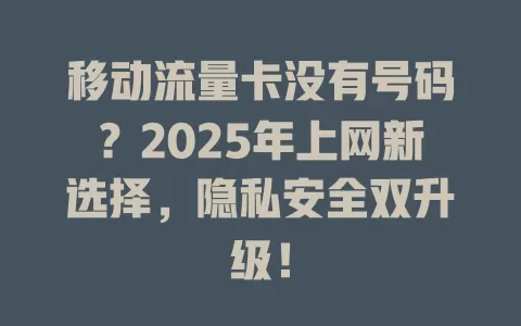 移动流量卡没有号码？2025年上网新选择，隐私安全双升级！