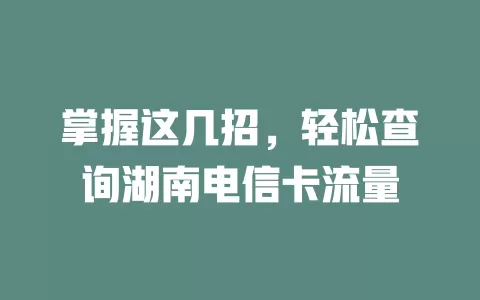 掌握这几招，轻松查询湖南电信卡流量