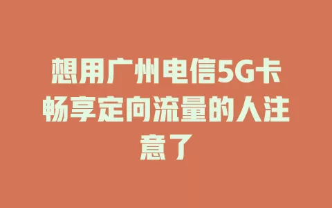 想用广州电信5G卡畅享定向流量的人注意了