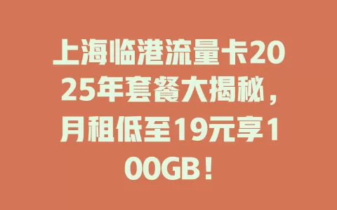 上海临港流量卡2025年套餐大揭秘，月租低至19元享100GB！