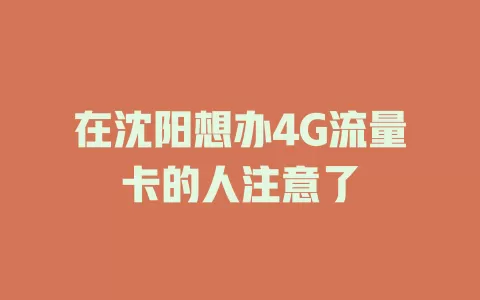 在沈阳想办4G流量卡的人注意了