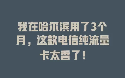 我在哈尔滨用了3个月，这款电信纯流量卡太香了！