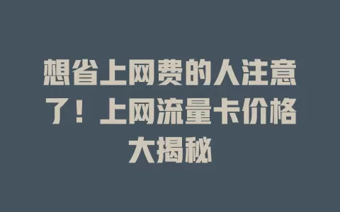 想省上网费的人注意了！上网流量卡价格大揭秘