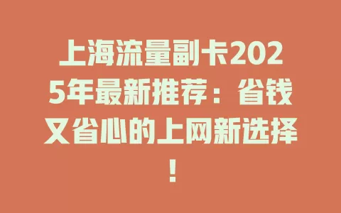 上海流量副卡2025年最新推荐：省钱又省心的上网新选择！