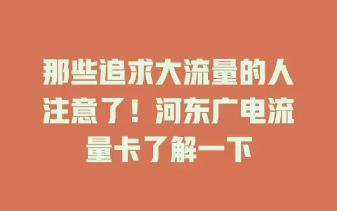 那些追求大流量的人注意了！河东广电流量卡了解一下