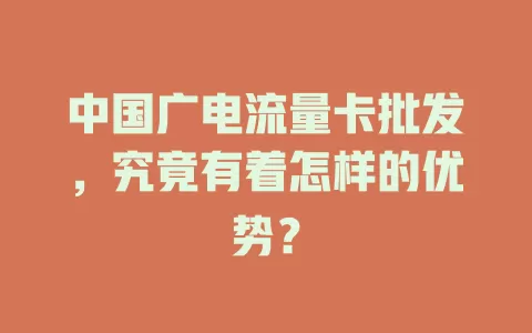 中国广电流量卡批发，究竟有着怎样的优势？