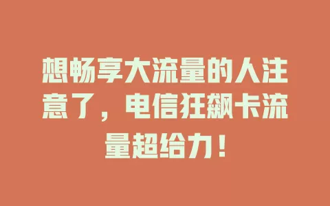 想畅享大流量的人注意了，电信狂飙卡流量超给力！