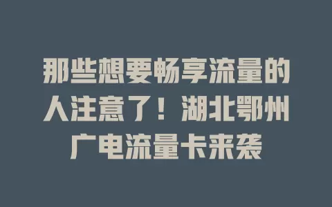 那些想要畅享流量的人注意了！湖北鄂州广电流量卡来袭