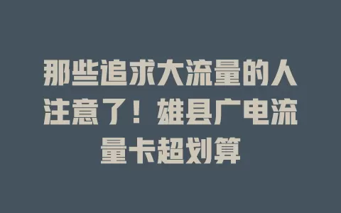 那些追求大流量的人注意了！雄县广电流量卡超划算