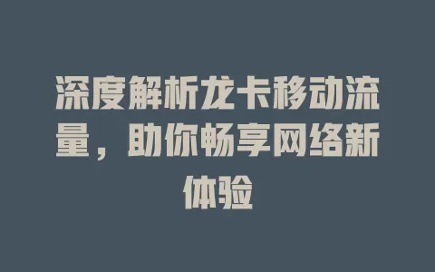 深度解析龙卡移动流量，助你畅享网络新体验