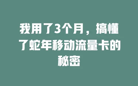 我用了3个月，搞懂了蛇年移动流量卡的秘密