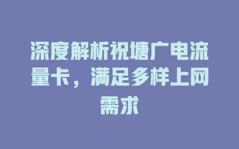 深度解析祝塘广电流量卡，满足多样上网需求