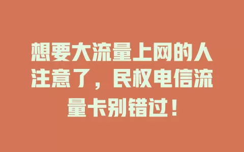 想要大流量上网的人注意了，民权电信流量卡别错过！