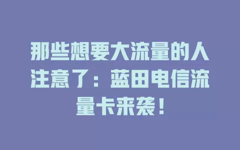 那些想要大流量的人注意了：蓝田电信流量卡来袭！