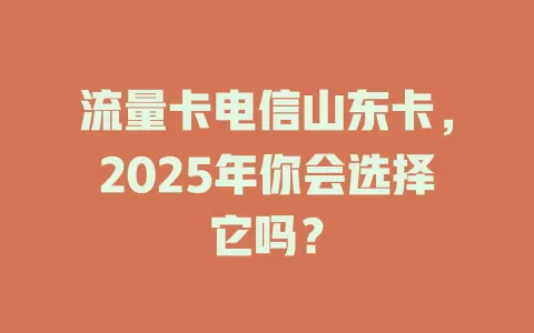 流量卡电信山东卡，2025年你会选择它吗？