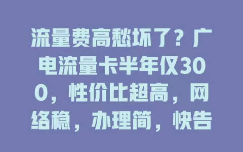 流量费高愁坏了？广电流量卡半年仅300，性价比超高，网络稳，办理简，快告别流量焦虑！