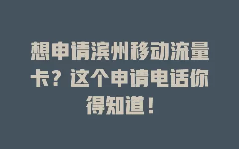 想申请滨州移动流量卡？这个申请电话你得知道！