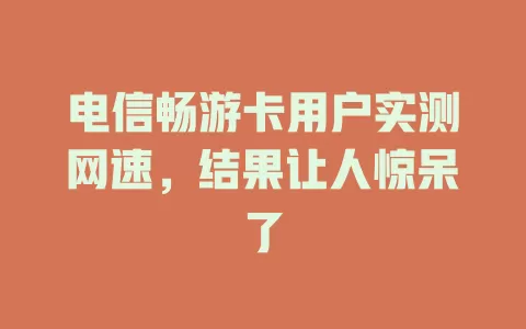 电信畅游卡用户实测网速，结果让人惊呆了