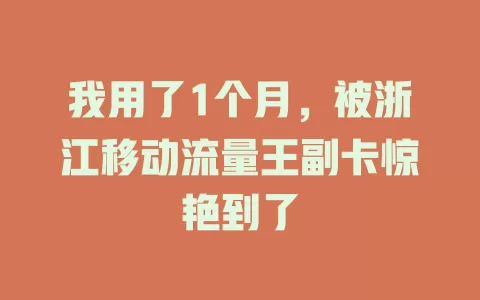 我用了1个月，被浙江移动流量王副卡惊艳到了